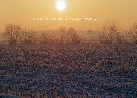 Meilleurs voeux pour 2015 !